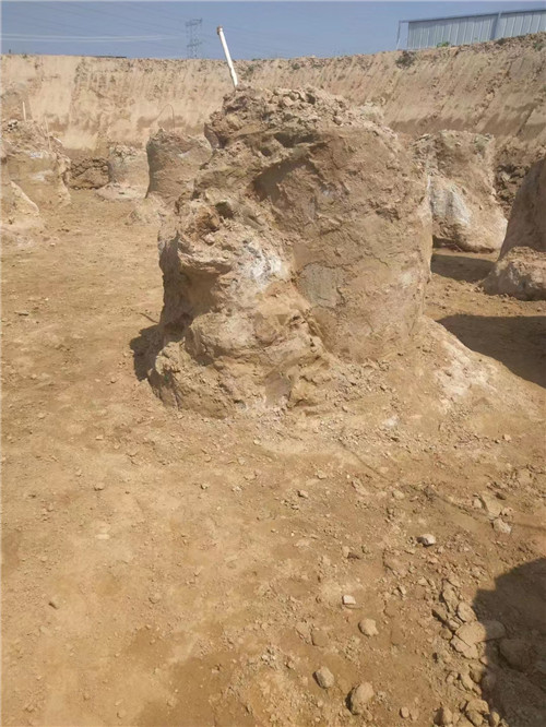 泰安樱桃视频高清免费观看在线播放