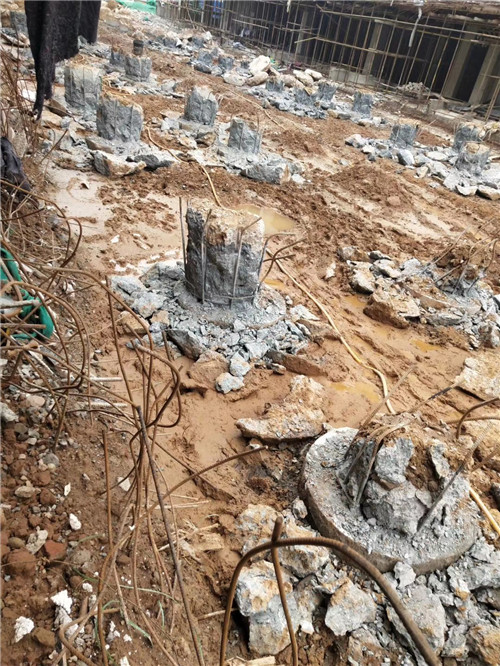 濟南樱桃视频高清免费观看在线播放
